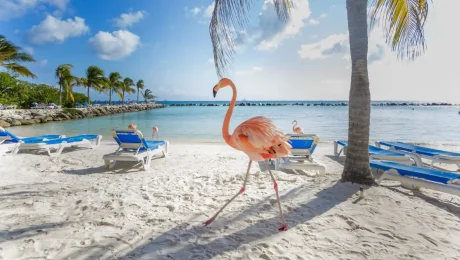 aruba-main-1200-1pp.webp