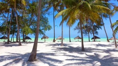 zanzibar-main-1200-1pp.webp